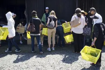 <p>Visitors to the event emptying their collected tea leaves into a huge basket.</p>