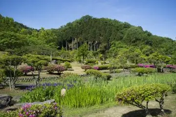<p>The beautiful Ajimano&nbsp;garden, where 15 poems from the Manyōshū&nbsp;(万葉集) are inscribed into stone.</p>