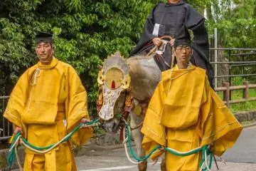 <p>In the Aoi Matsuri (葵祭) there are two important personages, of course the Saiō-Dai Lady (斎王代), and the procession's highest-ranking official called Chokushi (勅使) or Imperial Messenger. His sword is decorated with gold and even the horse has a plaque on its forehead. Most likely this would have been gold also in the olden days</p>