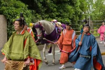 <p>This is the Hiki-Uma (牽馬), a spare horse for the Chokushi (勅使) or Imperial Messenger.</p>
