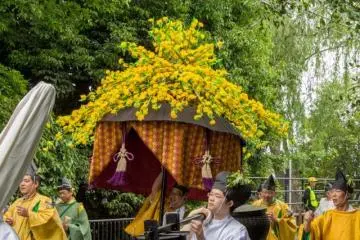 <p>The Aoi Matsuri (葵祭) 2014 in Kyoto City is a colorful event by all means, this one is a flower umbrella called furyu-gasa (風流傘). These furyu-gasa are sometimes called Hana-gasa or flower umbrellas and are decorated with artificial flowers.</p>