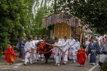 <p>A colorful, ox drawn carriage called gissha (牛車), decorated with wisteria, irises and plums. These two young ladies symbolically hold the reins of this squeaking carriage. In the Heian period Emperors traveled in them and they were called &ldquo;Gosho-Guruma (御所車)&rdquo;. There are two of these in the parade.</p>