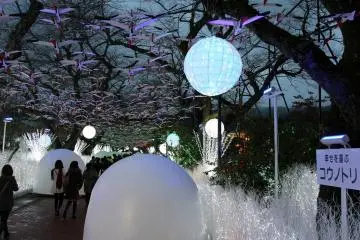<p>Beautiful designs create a real fairy tale walkway in the evening.</p>