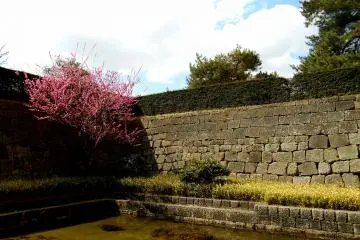 <p>Kolam teratai dan pohon plum di Castle Keep Ruins</p>