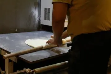 Udon segar