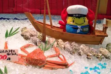 Maizuru Crab in season from the winter months at the&nbsp;The Maizuru Port 'Tore Tore" Seafood and Fish Markets