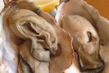 <p>BBQ Oyster</p>