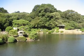 Tea houses hiding in the trees