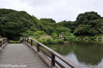 Bridge and pond