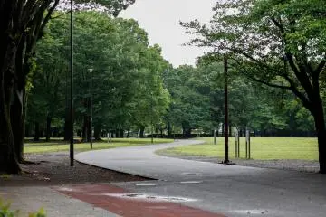 <p>The stillness around makes you forget everything, particularly on a rainy day like this.</p>