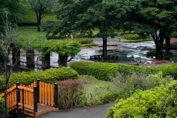 <p>A rainy day and a soulful view</p>