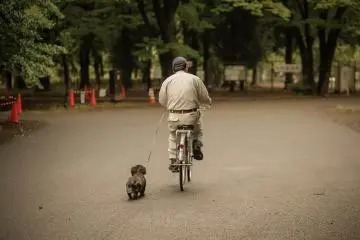 <p>No matter where you go, I'll follow!</p>