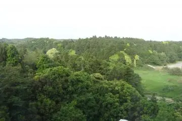 <p>The view from my room</p>