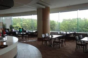 <p>The Terrace restaurant</p>