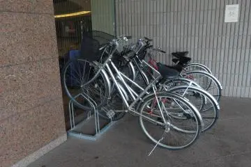 <p>The bikes</p>