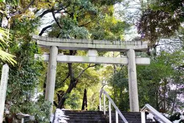 The beautiful entrance to the shrine has some traditional torii as well as some contemporary stairs. 