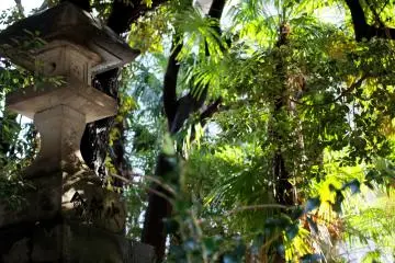 The Sun was shining and the different types of trees really gave a magical atmosphere to the day. 