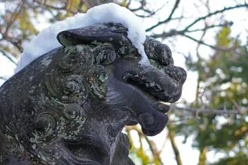 This is one of the many lion type guardians of the shrine, here I suppose he's not happy about wearing a snow hat. 