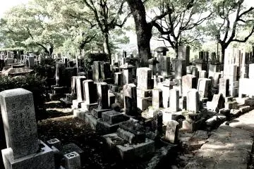 <p>A corner of the cemetery looking down the hill</p>