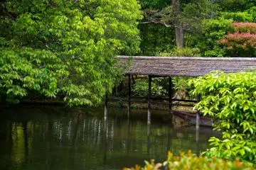 <p>Small dock for boat</p>
