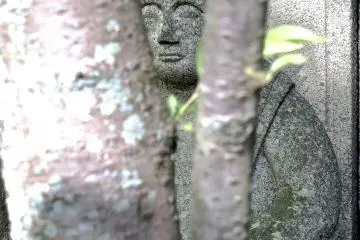 '까꿍'