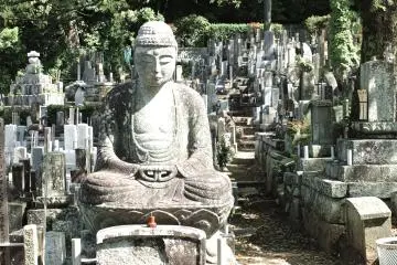 언덕이 많은 묘지는 계속, 또 계속...