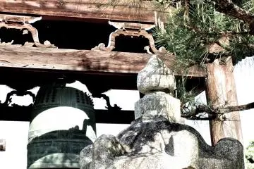 절의 종