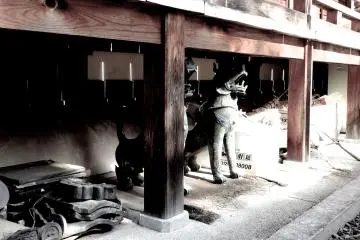긴 목재 복도 아래에서의 더 많은 놀라움