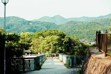 <p>A wonderful view of Kyoto's surrounding hills.&nbsp;</p>