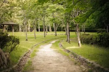 <p>The path less traveled is always the one which interests me the most.&nbsp;</p>