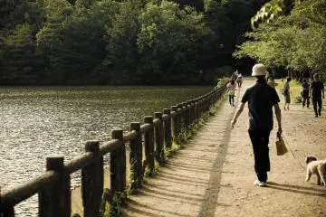 <p>The walking path around the pond&mdash;looks larger than a usual pond in a city park, right?</p>