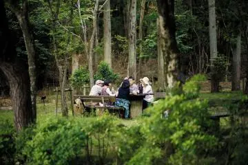 <p>Perfectly planned picnic with food and wine.&nbsp;</p>