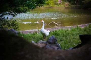 <p>Beautiful, isn't she?</p>