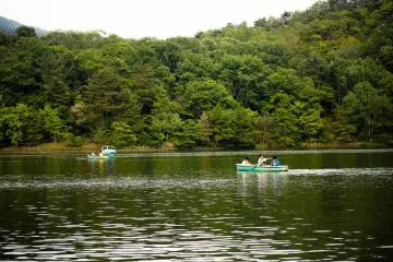 <p>It will cost you &yen;​1,000 to rent one of those boats for an hour.&nbsp;</p>