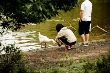 <p>You can get as close as you want to feed her; she was harmless.&nbsp;</p>