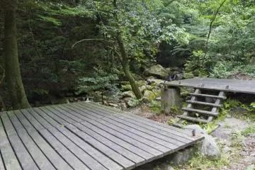 <p>More of the camping area</p>