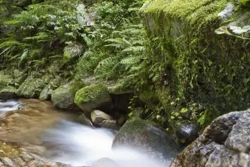 Ochozu Falls Campsite