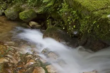 <p>Along the Numa Stream</p>