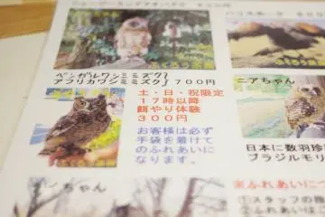You can pick the owl you want to pet from this menu!
