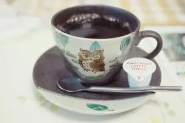 Everything is owl-themed, even the coffee cups!