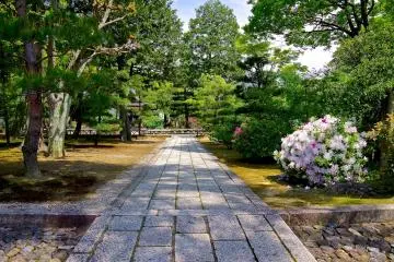 <p>Stone pavement leading to Sanctuary</p>