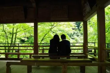 <p>Surrounded by fresh green</p>