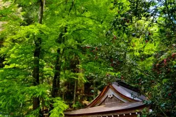 <p>Inner shrine</p>