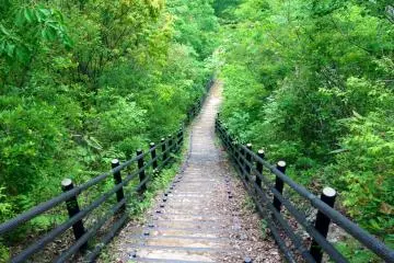 <p>Steps leading down to Ryujin Valley floor</p>