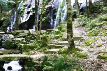 <p>Like a scene from a Ghibli movie</p>