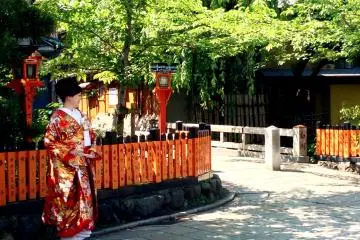 <p>The stunning kimono is a beautiful contrast to the orange gates and the green trees.</p>