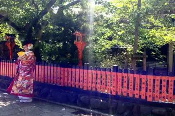<p>Sunlight peeking through the tree lined canal walk in Gion, Kyoto</p>