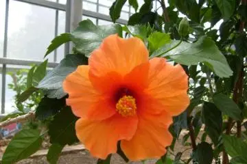 <p>There are a lot of different but vibrant colors</p>