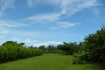 <p>It was a hot, bright tropical day when I visited</p>