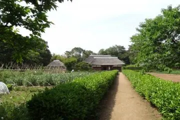 <p>The garden in front of the farmhouses</p>